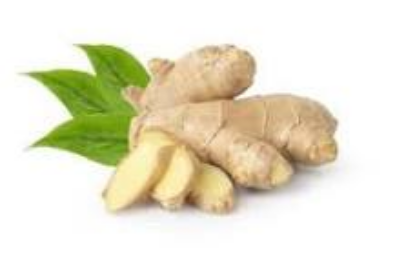 Picture of Ginger 